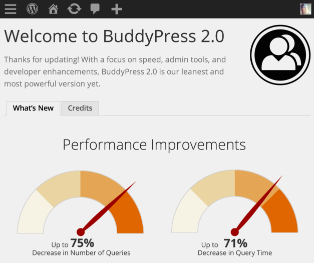 buddypress20