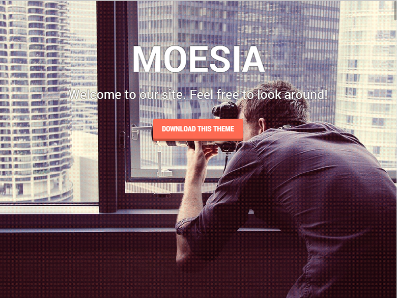 Корпоративная тема Moesia