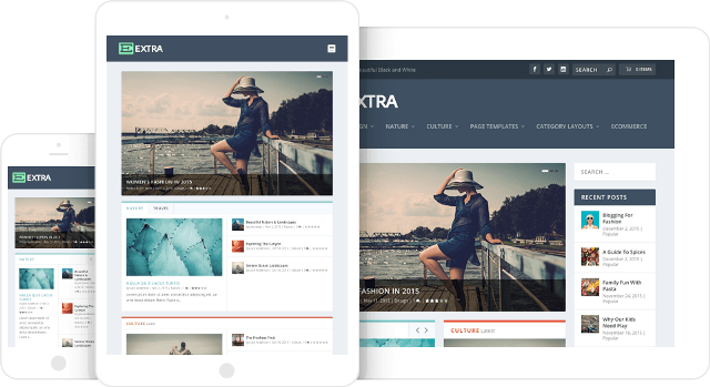 Elegant темы WordPress