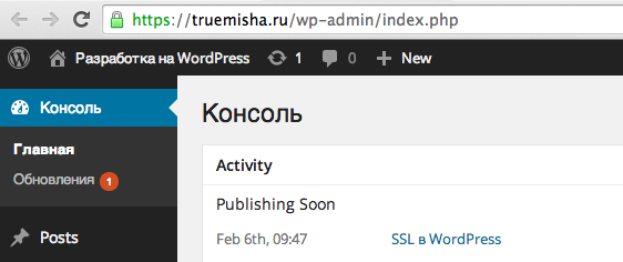 SSL в админке WordPress