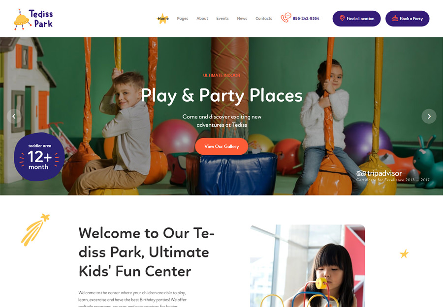 Tediss Play Area & Child Care Center WordPress Theme
