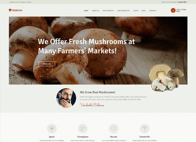 темы WordPress для сельского хозяйства