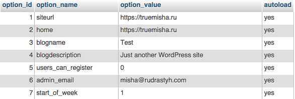 Таблица настроек wp_options в базе данных WordPress