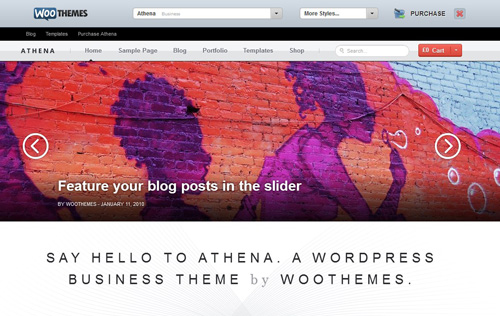 WooThemes offers demos of all their themes, including an option to try out different preset color schemes.