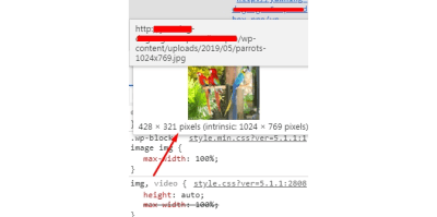 find maximum display size of an image Chrome