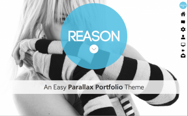 reason-wordpress-theme-700x435