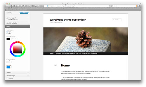 Using the WordPress theme customizer with the Twenty Ten theme.
