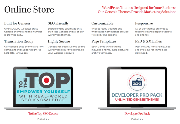 Web Savvy Marketing Theme Store