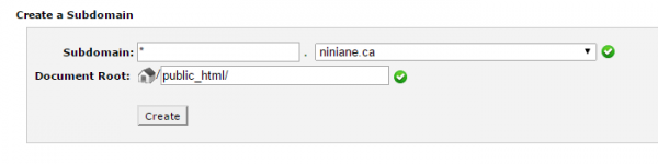 configuring-wildcard-domains-in-cpanel