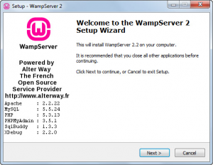 how-to-install-wamp-011