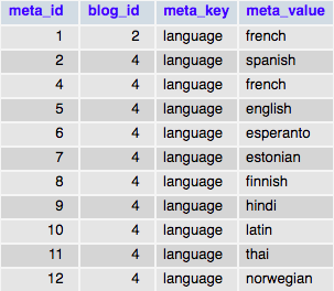 Таблица базы данных wp_blogmeta с данными с одним ключом meta_key и разными значениями meta_value