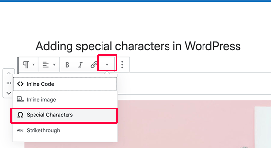 Как добавить специальные символы в записи WordPress