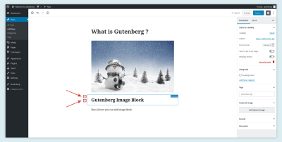 Move Block in Gutenberg