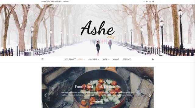 Ashe элегантная тема блога