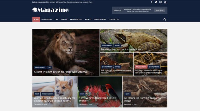 ColorMag тема с множеством опций