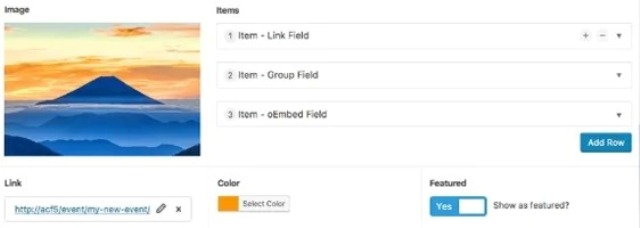 Advanced Custom Fields